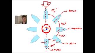 Barca a vela le andature [upl. by Han]