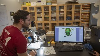 Meet an Entomology Graduate Student [upl. by Zachary120]