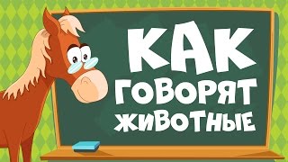 КАК ГОВОРЯТ ЖИВОТНЫЕ Звуки животных для детей  Учим животных для самых маленьких [upl. by Marpet598]