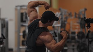 IFBB Pro Arm Workout [upl. by Ydnis833]