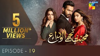 Mohabbat Tujhe Alvida Episode 19  Eng Sub  Digitally Powered By Master Paints  HUM TV Drama [upl. by Rozanna]