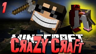 Minecraft CRAZY CRAFT 1  WTF IS THIS Minecraft Mod Survival [upl. by Nauqat607]