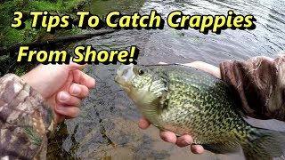 3 Crappie Fishing Tips Guaranteed To Catch Crappies From Shore [upl. by Spancake]