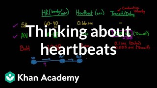 Thinking about heartbeats  Circulatory system physiology  NCLEXRN  Khan Academy [upl. by Neyuh]