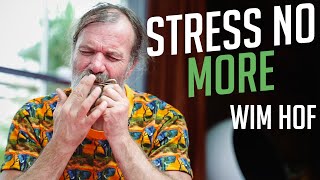 This Trick Reduce Stress Anxiety and Depression  Wim Hof [upl. by Lebasiram]