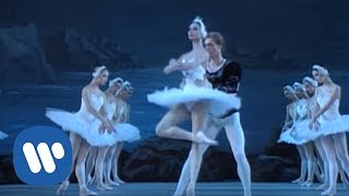 Ballet Tutus Beautiful Performances [upl. by Ailev]