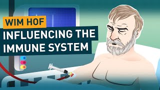 Influencing the Immune System  Wim Hof Method Science [upl. by Ydnic]