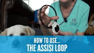 How to use the Assisi Loop How To 影片系列 Assisi Loop [upl. by Yolanda255]