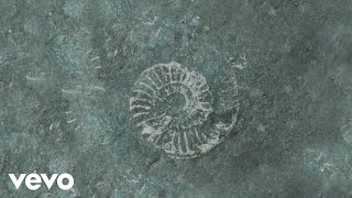 Ludovico Einaudi  Einaudi Fossils Official Visualiser [upl. by Peisch]