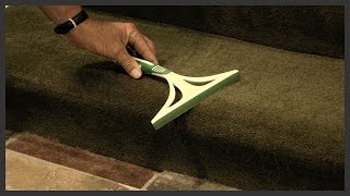 How to remove dog hair from carpet [upl. by Utham]