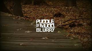 Puddle Of Mudd  Blurry Lyrics [upl. by Jeremias]