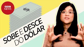 O que explica a cotação do dólar [upl. by Goff]