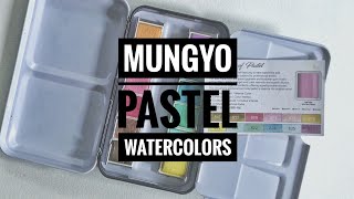 Mungyo Pastel Watercolors  12 Pan Set [upl. by Dragone]