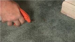 Carpet Cleaning  How to Remove Dry Blood Stains in Carpet [upl. by Puklich]