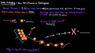 DNA Packaging [upl. by Imray]