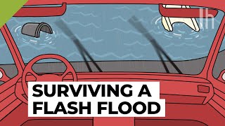 Everything You Need to Know During a Flash Flood [upl. by Judas755]