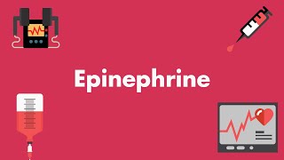 Epinephrine  Vasopressors amp Inotropes  MEDZCOOL [upl. by Korwin]