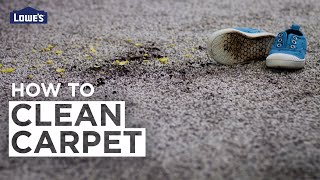 How to Clean Carpet [upl. by Annas]