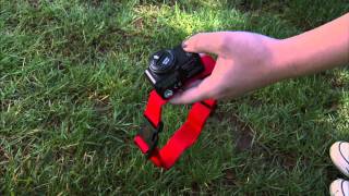 How to Install a PetSafe® Wireless Dog Fence [upl. by Drice99]