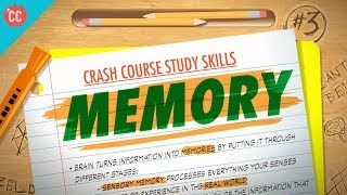 Memory Crash Course Study Skills 3 [upl. by Haonam]