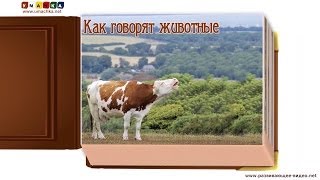 Как говорят животные звуки животных  развивающее видео для детей 1 [upl. by Adolph310]