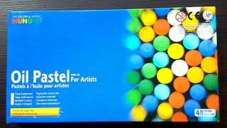 Review Mungyo oil pastels for Artists student grade [upl. by Bashuk]