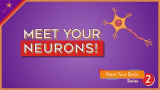 Meet Your Neurons  Lesson 2 [upl. by Vaclava]