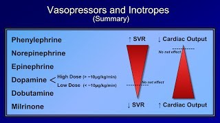 Shock Lesson 5  Pressors [upl. by Circosta574]