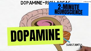 2Minute Neuroscience Dopamine [upl. by Naud141]