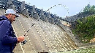 Fishing Below a Massive Dam For Anything That Will Bite [upl. by Jestude]