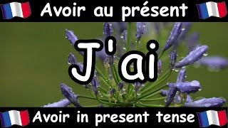 AVOIR To Have Conjugation Song  Present Tense  French Conjugation  Le Verbe AVOIR [upl. by Amhser]