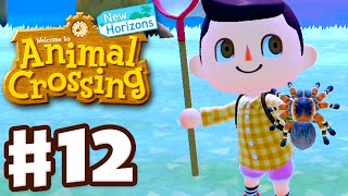 Catching a Tarantula  Animal Crossing New Horizons  Gameplay Walkthrough Part 12 [upl. by Fasto]