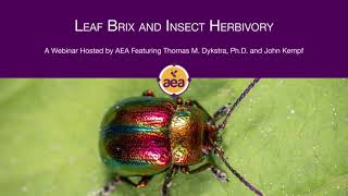 How Brix Levels Impact Insect Pressure on Plants  Dr Thomas Dykstra [upl. by Edurtreg299]