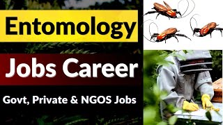 Entomology  Careers in Entomology  Entomology Job Scope [upl. by Ahsie]