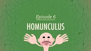 Homunculus Crash Course Psychology 6 [upl. by Adamson333]