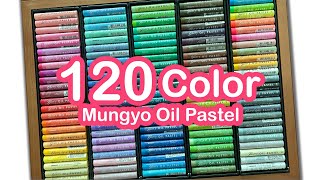 120 Color Mungyo Oil Pastel Unboxing [upl. by Aliuqet]