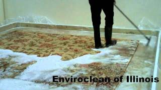 How to Properly Clean Fine Wool and Oriental Area Rugs [upl. by Samuella]