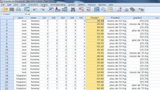 SPSS tutoriel Statistiques descriptives [upl. by Giusto554]