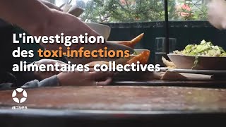 Linvestigation des toxiinfections alimentaires collectives [upl. by Eihs26]