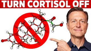 Why Its Hard To Turn Stress Cortisol Off – Dr Berg [upl. by Llewon]