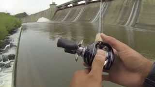 Saugeye and Buffalo Carp Fishing at Hoover Dam [upl. by Inoliel500]