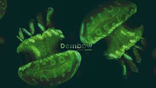 Danny Ocean  Dembow Official Audio [upl. by Drugi]