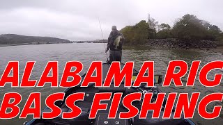 FIshing below the Guntersville Dam on Lake Wheeler for some Bass Alabama Rig Bass Fishing [upl. by Lebasile]