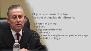 DIVORCIO INCAUSADO  PROCEDIMIENTO  PJENL [upl. by Ambie]