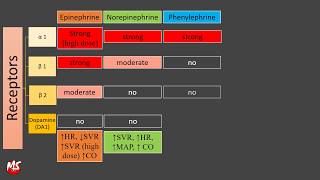 Vasopressor and Inotropes  Made Easy [upl. by Dannie]