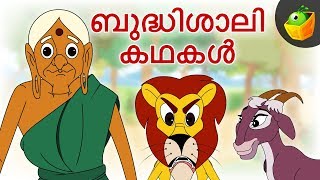 ബുദ്ധിശാലി കഥകൾ  Clever Stories For Kids  Moral Stories  Magicbox Malayalam [upl. by Aigil]