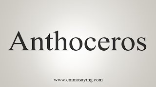 How To Say Anthoceros [upl. by Buskirk692]