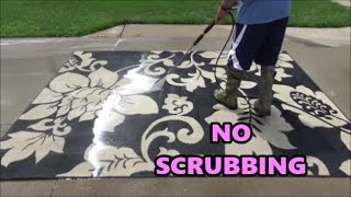 EASY Way to Clean an Area Rug NO SCRUBBING [upl. by Jane]