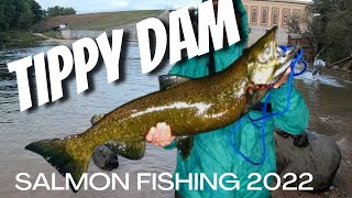 TIPPY DAM SALMON FISHING 2022 [upl. by Sorce550]