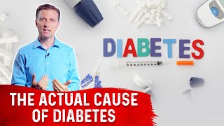 The Underlying Cause Of Diabetes – DrBerg [upl. by Niajneb]